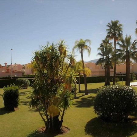 Apartamento De Lujo En La Playa 奥利瓦 外观 照片
