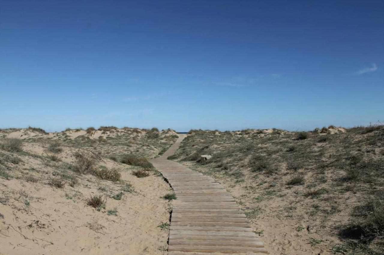 Apartamento De Lujo En La Playa 奥利瓦 外观 照片