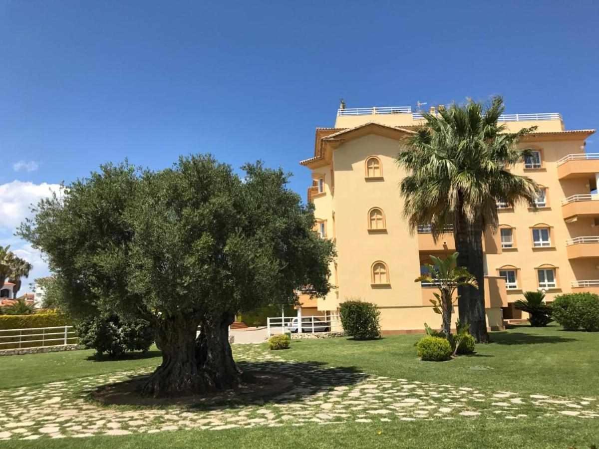 Apartamento De Lujo En La Playa 奥利瓦 外观 照片