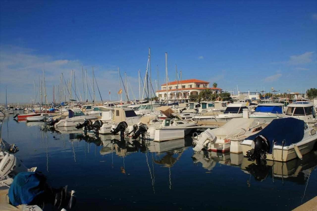 Apartamento De Lujo En La Playa 奥利瓦 外观 照片